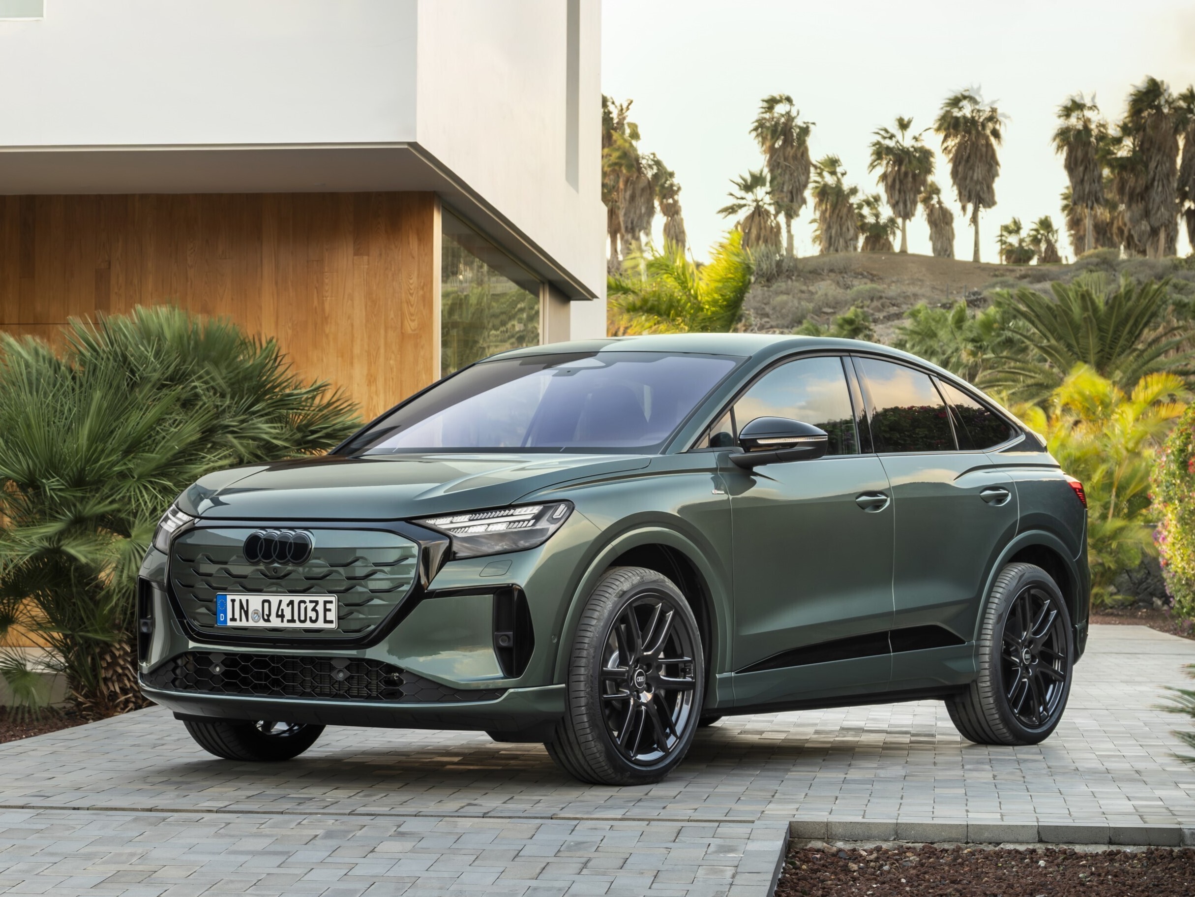 Audi Q4 e-tron</p>
<p>